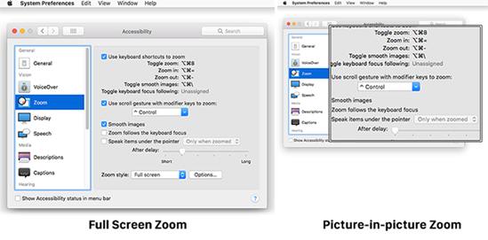 Full Screen Zoom and Picture-in-Picture Zoom